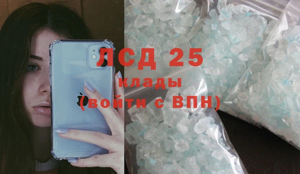 мдпв Новозыбков