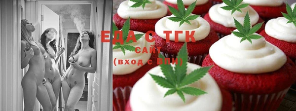 мдпв Новозыбков