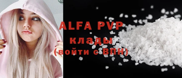 амф Новодвинск