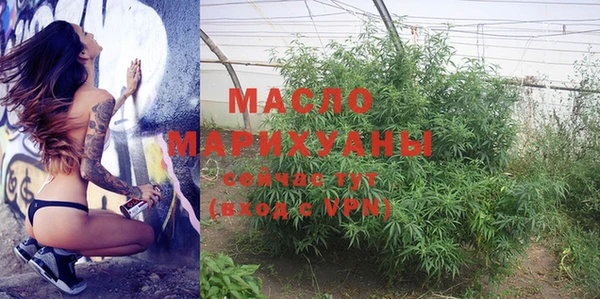 мдпв Новозыбков