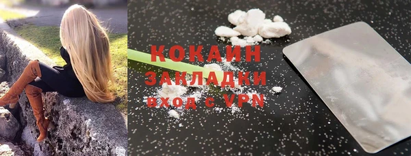 мдпв Новозыбков