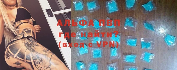 амф Новодвинск