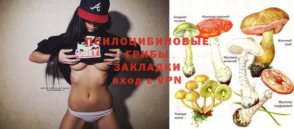 мдпв Новозыбков