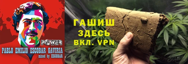 мдпв Новозыбков