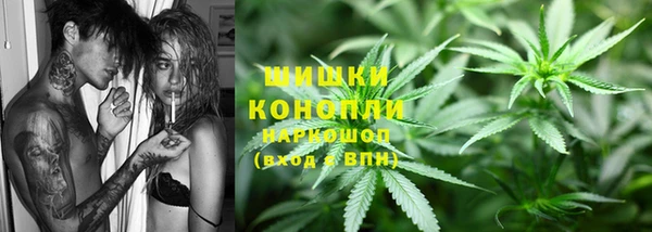 амф Новодвинск