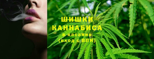 мдпв Новозыбков